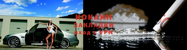 тгк Алзамай