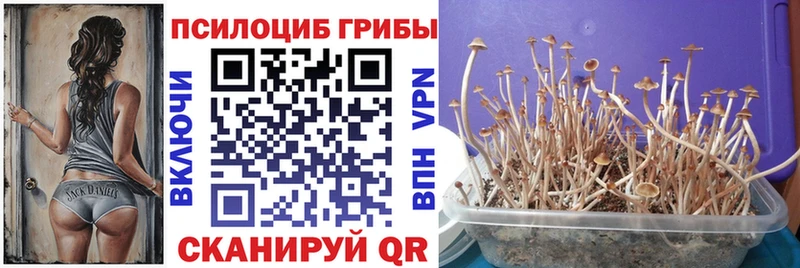 Галлюциногенные грибы Cubensis  Ясный 
